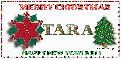 Tara Christmas and New Year