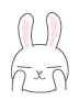 funny rabbit