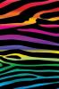 colorful zebra print