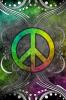 peace out rainbow
