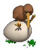 kiwi bird on egg