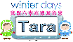Winter days Tara