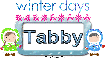 Winter days Tabby