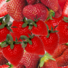 strawberry love background