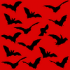 Red bat background