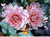 Winnie The Pooh Flower
