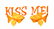 kiss me goldfish