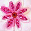 Flower - kwiat
