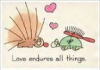 love endures all things avatar