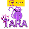 Cat-i-tude Tara