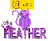 Cat-i-tude Heather