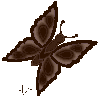 Farfalla 2