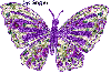 Farfalla 5