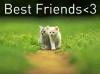 Best Friends<3