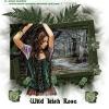 wild irish rose