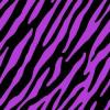 Purple zebra print 2 