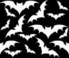Bat background