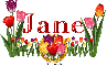 Tulips Jane