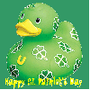 St. Patrick's Day Duck