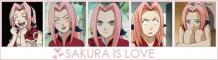 Sakura is love