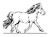 Sketch of sheltland pony