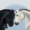 Horses in love <3