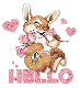 Hello <bunny>