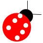 cute ladybug :D