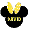 Mickey Head With The Name David