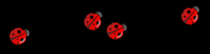 ladybug divider