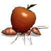 ant and apple