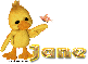Ducky Jane
