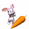 bunny in love with carrot