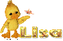 Ducky Lisa