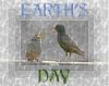 Earth's Day