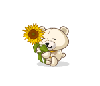 barry the sunflower bear