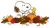 Snoopy-Woodstock-Thanksgiving