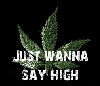 Just wanna say high.