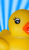 Ducky.