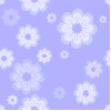 Bluette Flowers