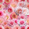 seamless pink roses love spring background