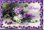Spring Lilacs - Chrissi