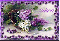 Spring Lilacs - Melanie