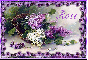 Spring Lilacs - Rose