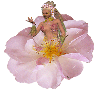 Flower Princess 