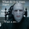 Funny Voldemort Stamp