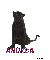 Panther - Andrea