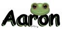 Frog Head - Aaron