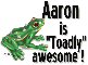 'Toadly' Awesome - Aaron