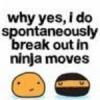 ninja moves